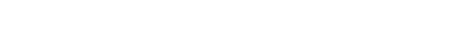Review of Business Activities