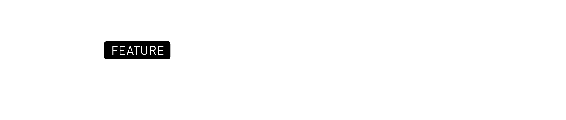 Feature: Business Strategy Excerpt from the Shareholder’s Meeting Presentation