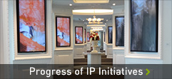 Progress of IP Initiatives