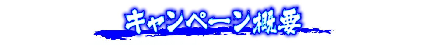 キャンペーン概要