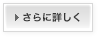 さらに詳しく